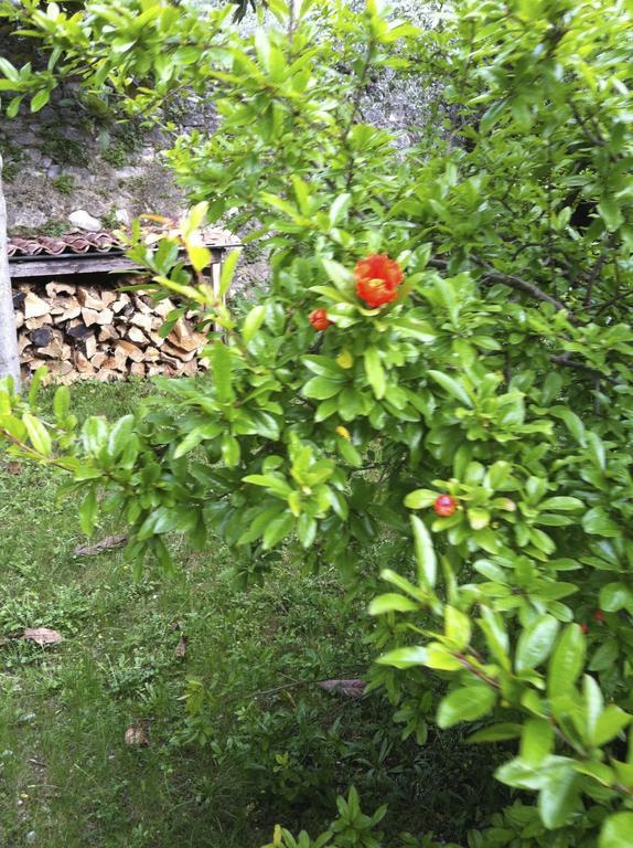 3 Rooms Apartment Whit Balcony And Lake Wiew Malcesine Exterior foto